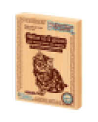 Выжигание. Доски для выжигания 5 шт Без рисунка. Для собственных идей