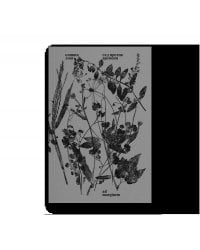 Сад против времени. В поисках рая для всех