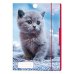 Папка A4 картонная с  резинкой -  Кошка