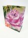 Подарочный пакет 26 32 цветов 770m