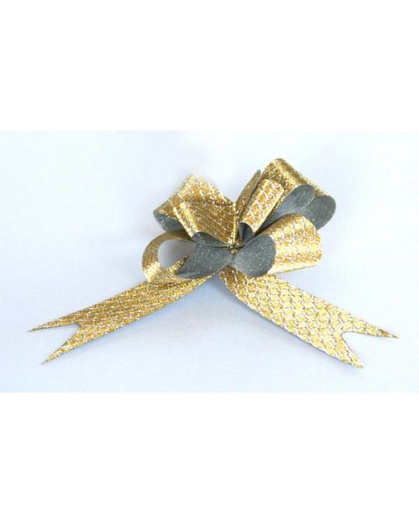 Лента дополнительно затянут 22см 1gb