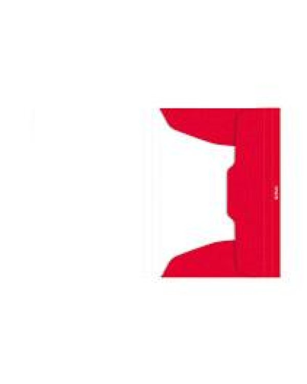 Папка A4 картонная с резинкой - Дельфин