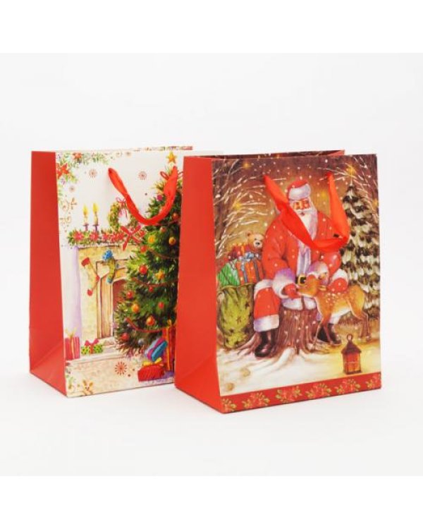 Подарочный пакет 18 23 см MIX