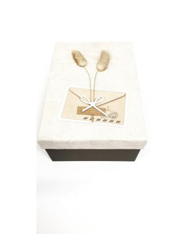 Подарочная коробка 22x16cm синий / коричневый с початка