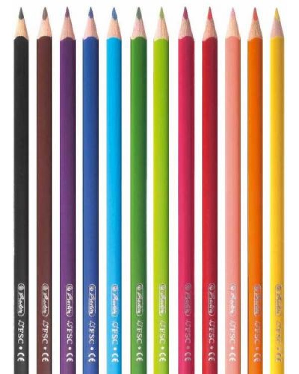 12 цветных карандашей Herlitz