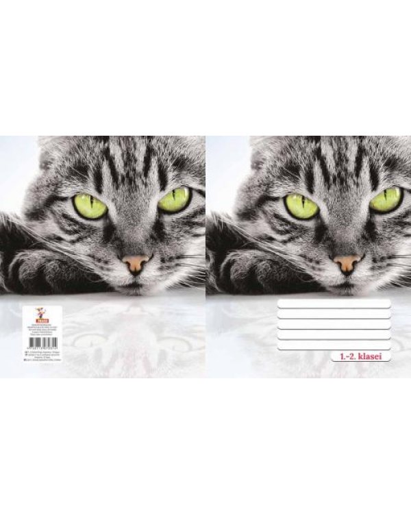 Тетрадь линия 1 2.klasei 12lp