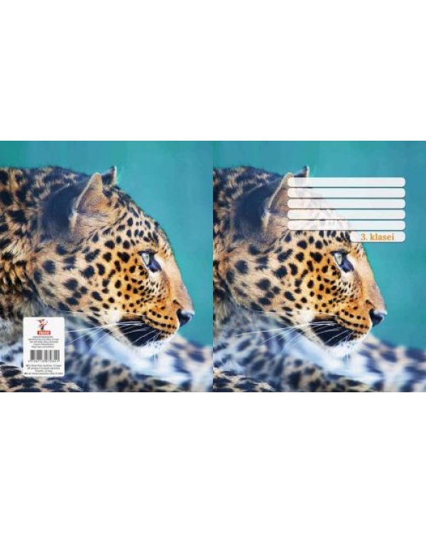 Оценка 3 типа Рабочая тетрадь 4