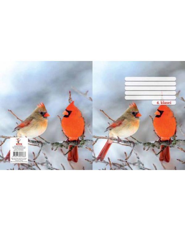 Тетрадь 4.klasei типы Freko 4