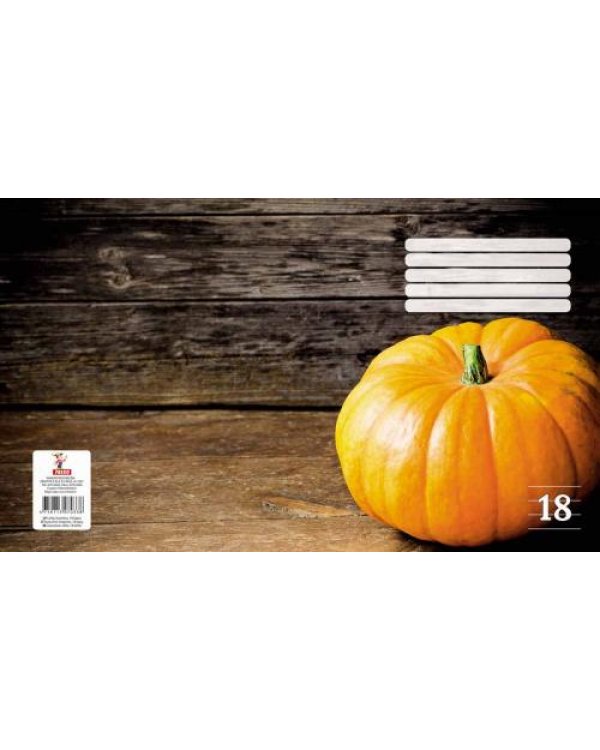 Тетрадь линия 18lpp Freko