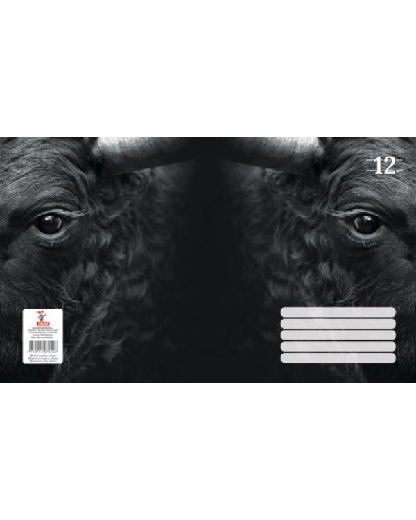 Тетрадь 12 стр. в  полоску