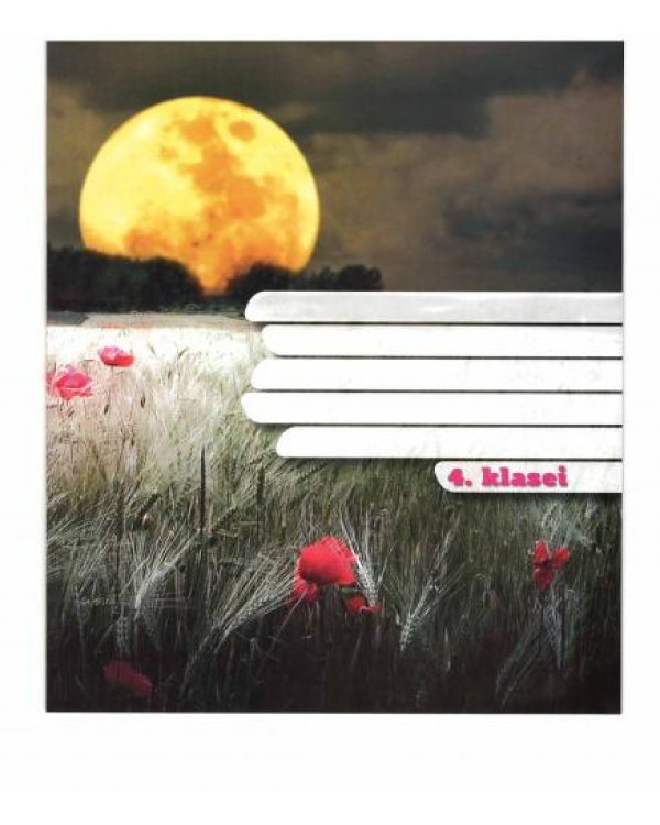 Тетрадь 4.klasei типы Freko 4