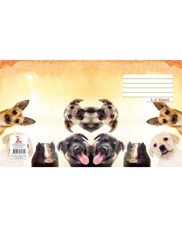 Тетрадь линия 1 2.klasei 12lp