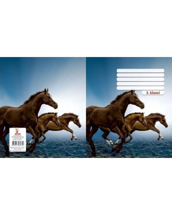 Оценка 3 типа Рабочая тетрадь 4