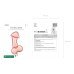 Foil balloon Penis,  55.5x112 cm, rose gold