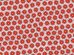 Wrapping paper - Red star of Bethlehem, 70x200cm