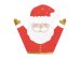 Napkins Santa Claus, mix, 16x15cm (1 pkt / 20 pc.)