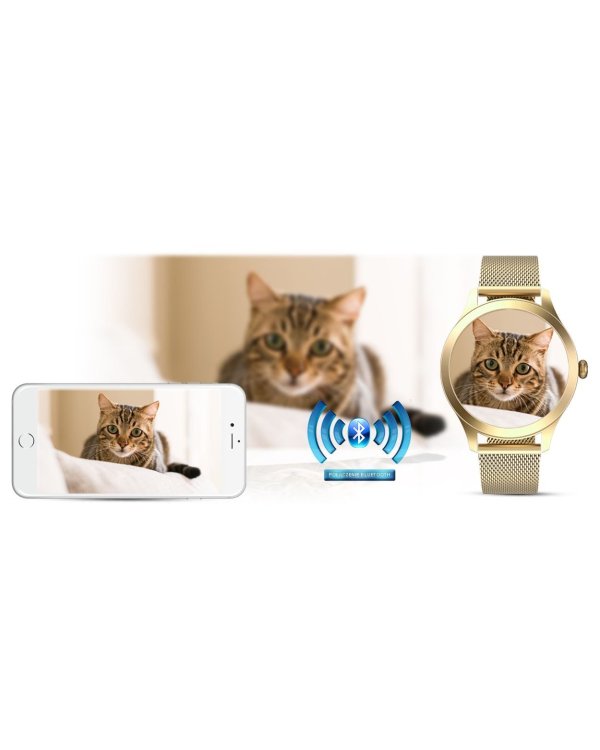 G.Rossi SW014G-4 Женские часы