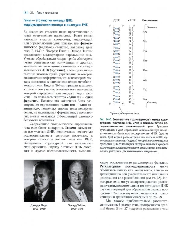 Основы биохимии Ленинджера. Учебное пособие. В 3-х томах. Том 3: Пути передачи информации