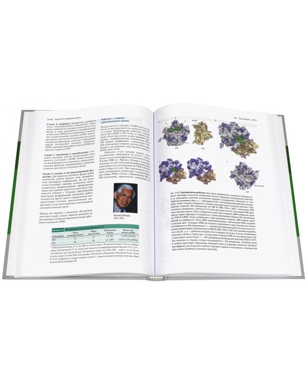 Основы биохимии Ленинджера. Учебное пособие. В 3-х томах. Том 3: Пути передачи информации