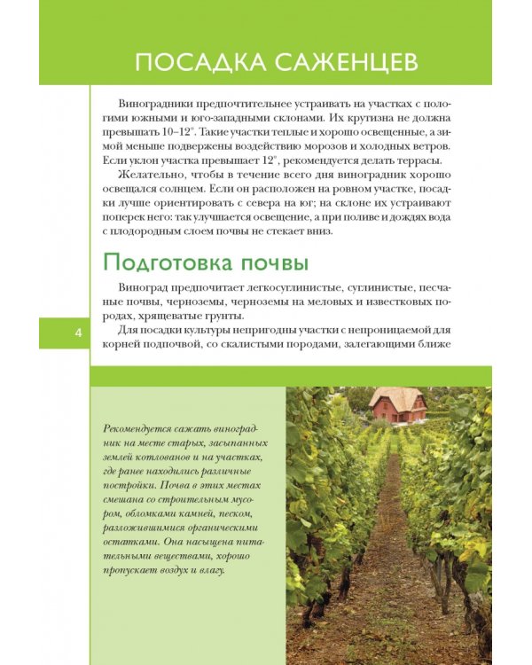 Виноград. Секреты выращивания для любого региона