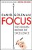Focus. The Hidden Driver of Excellence
