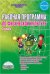 Физическая культура. 2 класс. Рабочая программа. Методическое пособие. ФГОС