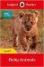 BBC Earth. Baby Animals. Level 1 and downloadable audio