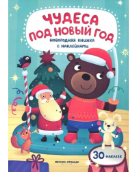 Чудеса под Новый год. Книжка с наклейками