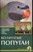 Кольчатые попугаи. Обзор видов. Содержание. Уход. Лечение