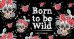 Мой планер. Born to be Wild