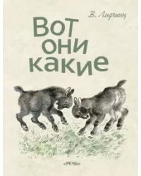 Вот они какие