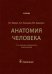 Анатомия человека