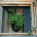 Pocket Gardens: Contemporary Japanese Miniature Designs
