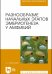 Разнообразие начальных этапов эмбриогенеза у амфибий. Монография