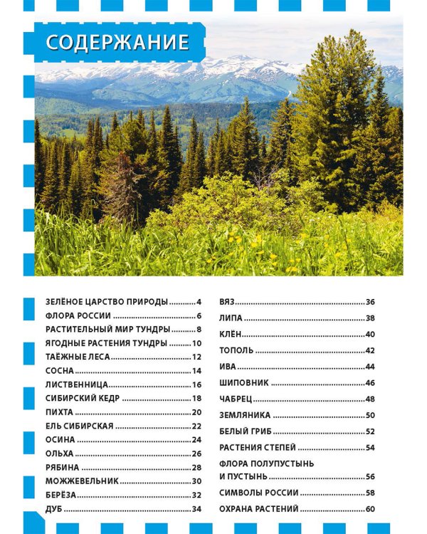 Растения России. Энциклопедия для детей