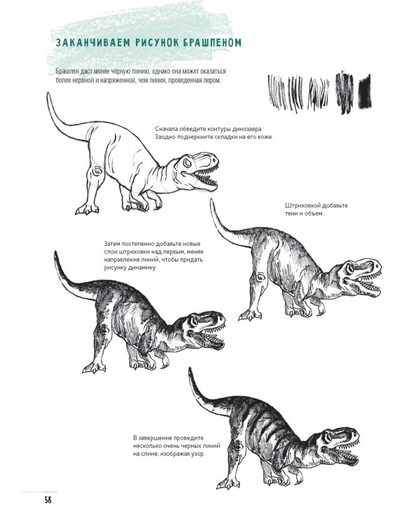 Создаем наброски животных и птиц шаг за шагом:50 проектов с подроб.объяснениями