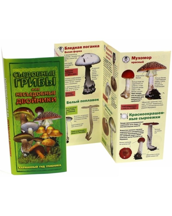 Съедобные грибы и их несъедобные двойники. Карманный гид грибника