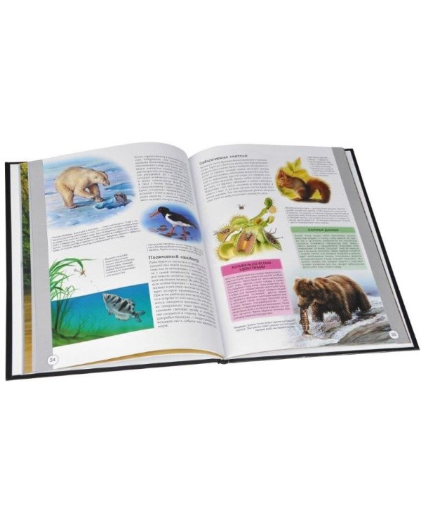 Чудеса природы.Энциклопедия