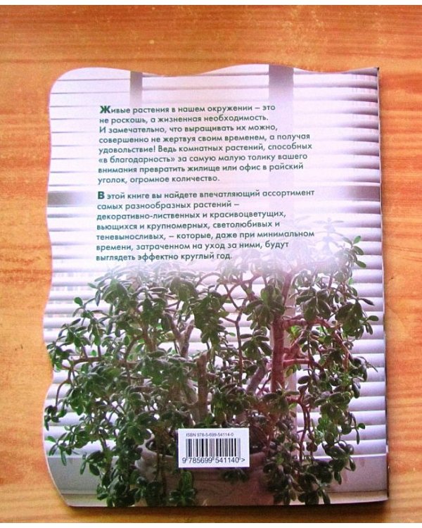 Самые красивые и неприхотливые комнатные растения / Волкова Е.