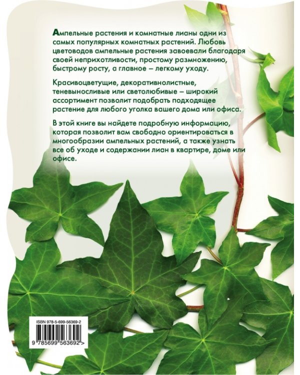 Лианы и вьющиеся растения в доме