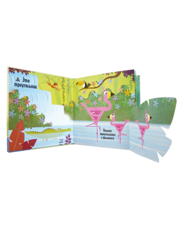 Кто бывает круглым?