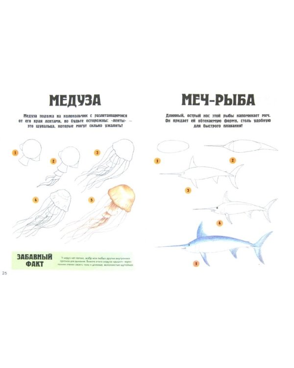 Обитатели моря. Шаг за шагом рисуем 25 различных обитателей моря. Для детей от 6 лет