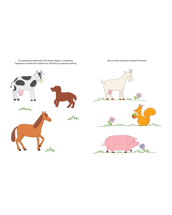 Знакомимся с природой +накл.2-3г.