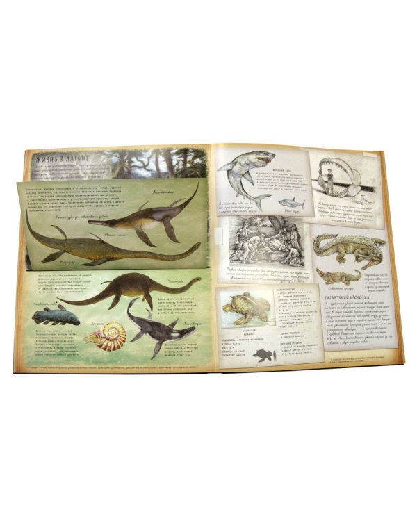 Динозавроведение. Поиски затерянного мира