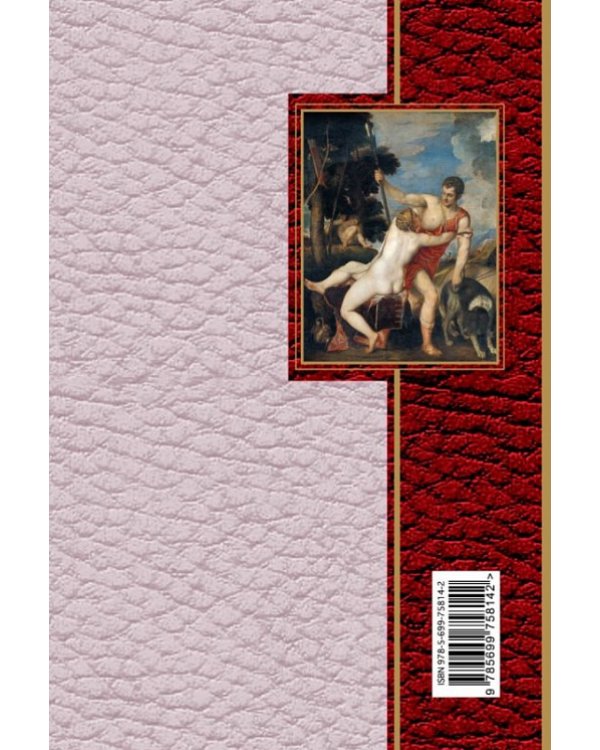 Сонеты и поэмы