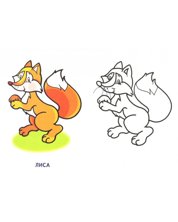 Дикие животные