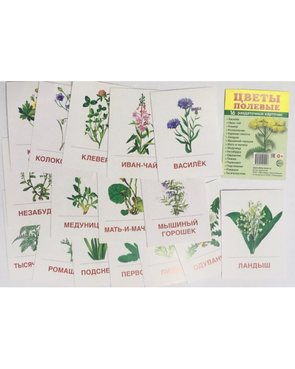 Раздаточные карточки "Цветы полевые" (16 карточек)