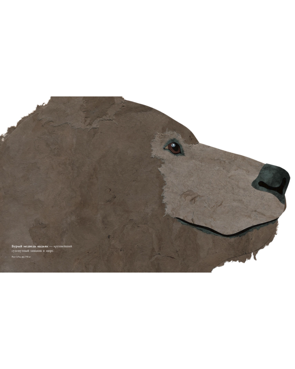 Сравни! Животные в натуральную величину