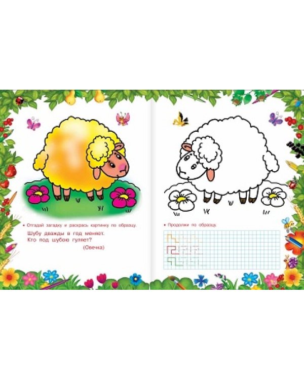 Раскраска с загадками и прописями. Полезная книга для маленьких умничек