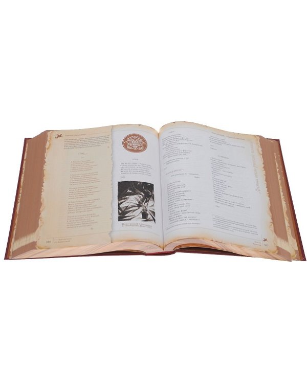 Поэт в России - больше, чем поэт. Десять веков русской поэзии. Антология в пяти томах. Том 3